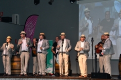 carnival-miguelturra-quemasangre-2020