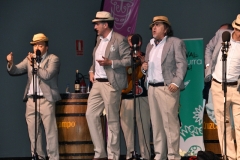 carnival-miguelturra-quemasangre-2020