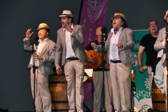 carnaval-miguelturra-quemasangre-2020