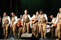 carnaval-miguelturra-tictac-2019