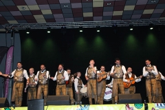 carnaval-miguelturra-tictac-2019