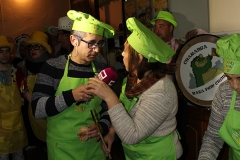 carnival-miguelturra-clmtv-20-02-2017