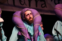 carnival-miguelturra-araka-2018