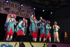 carnival-miguelturra-araka-2018