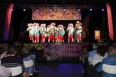 carnival-miguelturra-araka-2018