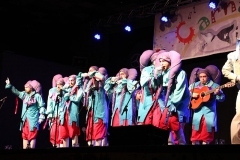 carnival-miguelturra-araka-2018