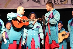 carnaval-miguelturra-araka