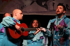 carnaval-miguelturra-araka