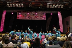 carnival-miguelturra-araka