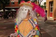 carnaval-miguelturra-verano-2019