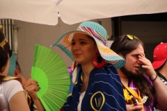 carnaval-miguelturra-verano-2019