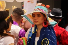 carnaval-miguelturra-verano-2019