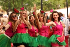 carnaval-miguelturra-verano-2019