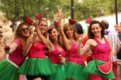 carnaval-miguelturra-verano-2019