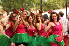 carnaval-miguelturra-verano-2019