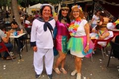 carnaval-miguelturra-verano-2019