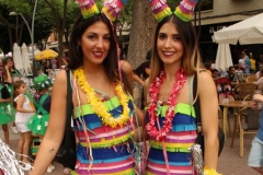 carnaval-miguelturra-verano-2019