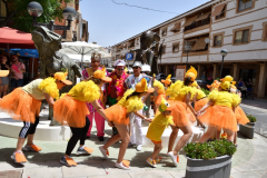 carnaval-miguelturra-verano-2022