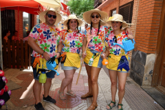 carnaval-miguelturra-verano-2022