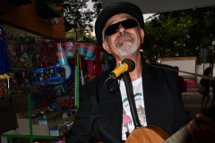 carnaval-miguelturra-verano-2022