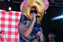 carnaval-miguelturra-verano-2022