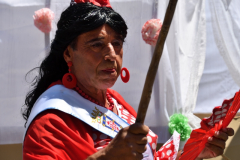 carnival-miguelturra-summer-2023