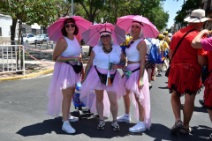 carnaval-miguelturra-verano-2023