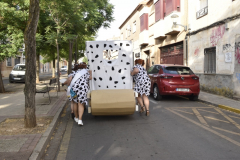 carnival-miguelturra-summer-2025