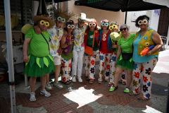 2026. Carnaval de Verano en Miguelturra