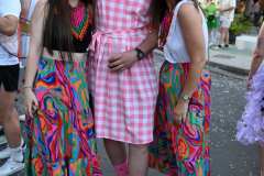 2026. Carnaval de Verano en Miguelturra