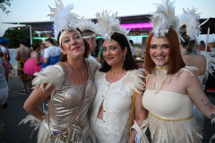 2026. Carnaval de Verano en Miguelturra