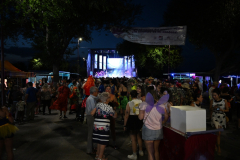 2026. Carnaval de Verano en Miguelturra