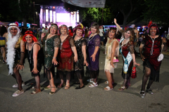 2026. Carnaval de Verano en Miguelturra