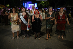 2026. Carnaval de Verano en Miguelturra