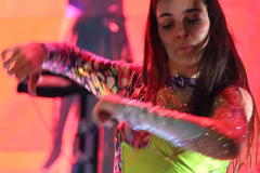 2026. Carnaval de Verano en Miguelturra