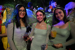 2026. Carnaval de Verano en Miguelturra
