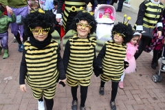 carnaval-miguelturra-infaltil-2017