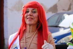 carnaval-miguelturra-infantil-2018