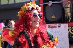 carnaval-miguelturra-primer-domingo-2019