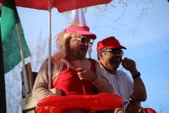 carnaval-miguelturra-primer-domingo-2019