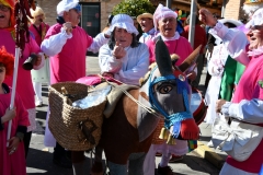 carnaval-miguelturra-diana-jamon-2020