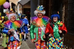 carnaval-miguelturra-infantil-2020