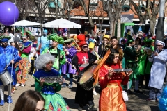 carnival-miguelturra-child's-2020