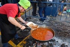 carnaval-miguelturra-infantil-2020