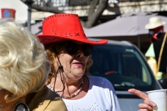 carnaval-miguelturra-infantil-2020