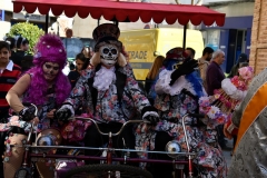 carnival-miguelturra-child's-2020