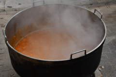 carnival-miguelturra-children-2023