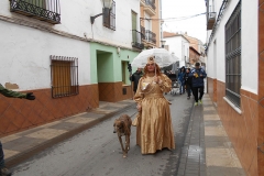 carnival-miguelturra-masks-race-2017
