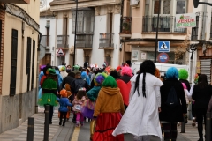 carnival-miguelturra-race-masks-2020