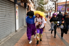 carnival-miguelturra-race-masks-2020